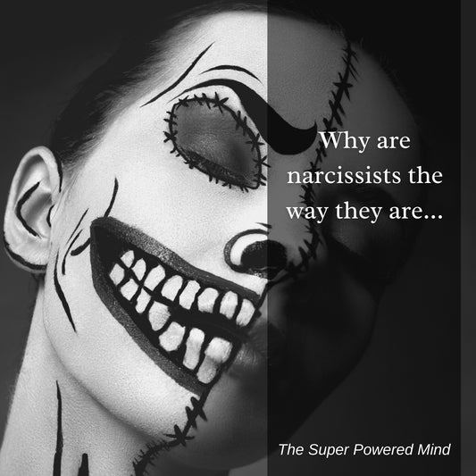 Why are narcissists the way they are?